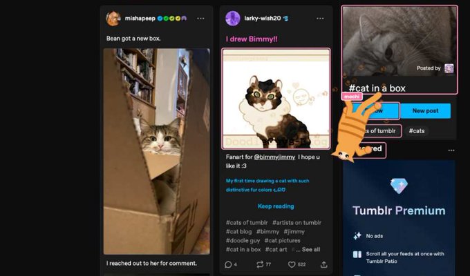 A Tumblr interface showing posts including 'Bean got a new box' by mishapeep with a cat in a box, 'I drew Bimmyr' fanart by larky-wah20 with a chibi cat drawing, and a #cat in a box post.