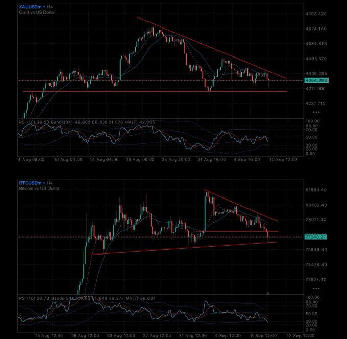 Two financial candlestick charts on a dark background showing price trends with technical analysis lines. The top chart is labeled 'XAUUSDm Gold vs US Dollar' and the bottom is labeled 'BTCUSDm Bitcoin vs US Dollar', both including RSI indicators.