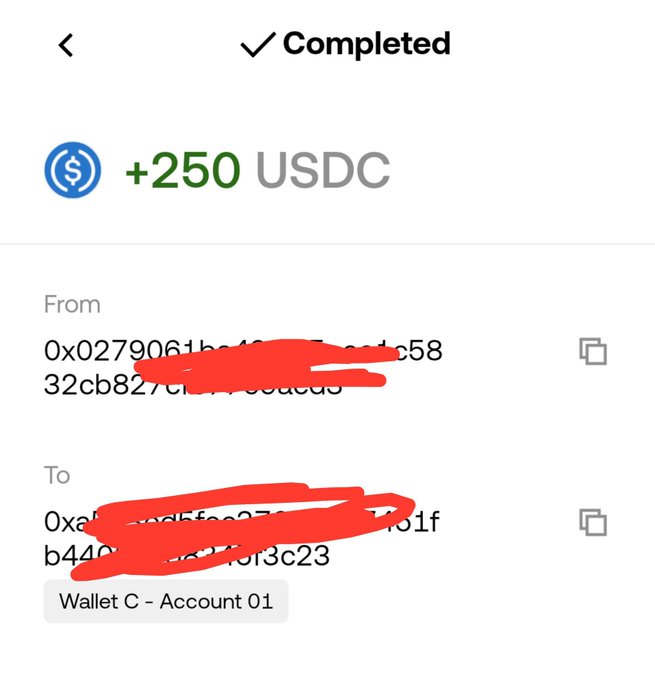 A completed USDC cryptocurrency transaction showing +250 USDC sent from one wallet address to 'Wallet C - Account 01', with addresses partially redacted.