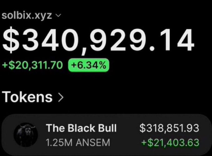 A screenshot of a solbix.xyz wallet showing a portfolio value of $340,929.14 (+6.34%), featuring "The Black Bull" token with 1.25M ANSEM holdings valued at $318,851.93 (+$21,403.63), which aligns with the post's promotional claims of successful early calls on various tokens including $ANSEM.