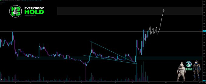 A cryptocurrency trading chart from 'Everybody Hold' showing a candlestick price movement with a downward wedge pattern breakout and projected upward arrow.