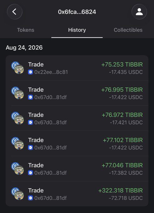 The image shows a wallet transaction history for 0x6fca...6824 on Aug 24, 2026, displaying multiple "Trade" entries with consistent TIBBIR purchases (+75 to +322 TIBBIR) in exchange for USDC (-17 to -72 USDC) across repeated contracts ending in 8c81 and 81df.

The screenshot confirms the post's claim about Amber Group's resumed $TIBBIR TWAP strategy, showing six sequential trades on a single day that systematically buy TIBBIR tokens with USDC—the characteristic time-weighted average price accumulation pattern referenced in the caption.