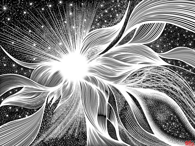 The image features a black and white illustration of a flower with long petals, set against a starry background. The artist has used a line drawing technique that creates an abstract representation of the sunburst effect. The image also includes text elements such as "GN Fam! Make !" and "Last edition left." This suggests that the artwork is part of a series or collection, possibly related to space exploration or celestial themes.