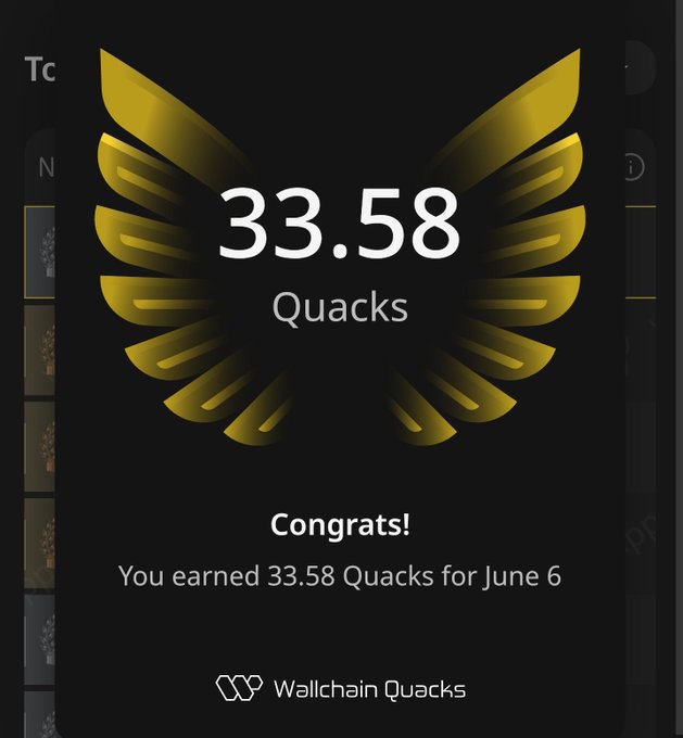 "Goodnight I have successfully added 33.58 Quacks to my bag. I would like to extend my sincere congratulations to @wallchain for the profits achieved on June 6. I maintain a very optimistic perspective regarding: Quacks are on an upward trend. My conviction". Focus on what is in the image and how it relates to the post.