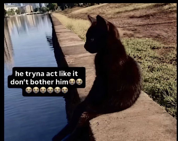 A black cat sits on a concrete ledge beside water, with a text overlay reading 'he tryna act like it don't bother him 😭😭😭😭😭😭😭😭'.