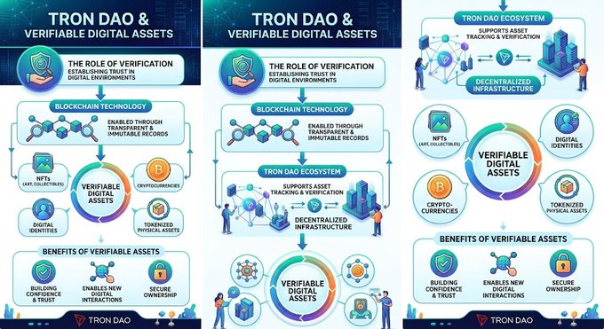 The image shows a three-panel infographic about the concept of verifying digital assets using blockchain technology, with a focus on TronDAo, a Verifiable Digital Assets platform. The panels display various graphics, diagrams, and descriptions explaining the benefits and functionality of using TRON DAO for asset verification within a decentralized ecosystem where digital assets can be tracked and recorded transparently.