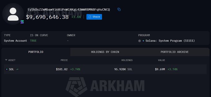 A screenshot from the Arkham platform displaying a Solana wallet with address ty5Kb2Z2eMdbawY16R1PnWC4KgL43WRD8MNBfqfiuCNCQ holding $9,690,646.38, primarily 95.928k SOL worth $9.69M.