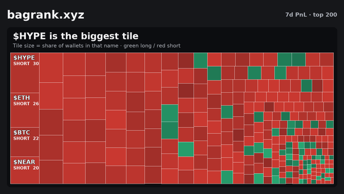 A treemap visualization titled 'bagrank.xyz' showing '$HYPE is the biggest tile' with a subtitle explaining 'Tile size = share of wallets in that name · green long / red short', displaying categories $HYPE, $ETH, $BTC, and $NEAR.