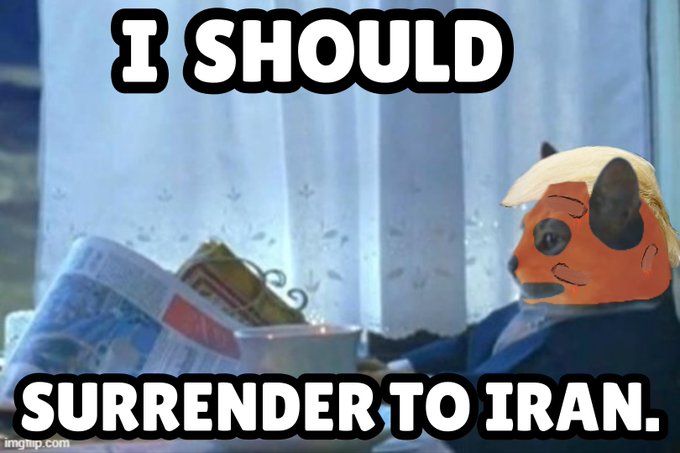 A photoshopped meme featuring the head of a cartoon dog with blonde hair superimposed on a raccoon in a chair, with text reading 'I SHOULD SURRENDER TO IRAN.'