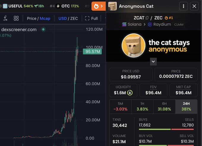 The image shows a DexScreener chart and trading stats for "Anonymous Cat" (ZCAT/ZEC), a Solana/Raydium meme coin, displaying a price surge to $95.57M market cap with 381% gains in 24 hours. The screenshot supports the post's claim about ZCAT reaching ~$100M, highlighting Solana's renewed momentum as meme coins like "the cat stays anonymous" rally on the chain.