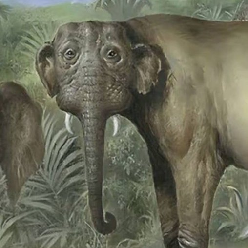 A weathered elephant with downturned eyes and a drooping trunk stands in a lush jungle, looking dejected and worn out—mirroring the post's humor about a buyer's deflated optimism after a volatile investment fails to skyrocket immediately.