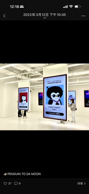 The photo shows an indoor gallery exhibition featuring illuminated vertical displays of Pudgy Penguins NFTs, with a central poster highlighting "SHANGHAI MEETUP" and "Pudgy Penguins #237" (a Penguin wearing sunglasses), while attendees browse the space. The image ties to the caption by capturing a Shanghai Pudgy Penguins meetup event, reflecting the poster's nostalgic sentiment about the NFT community nearly four years after first becoming a "fat penguin" holder.