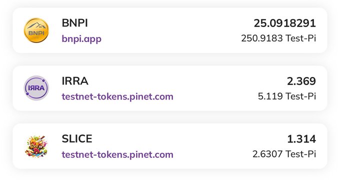 A screenshot of a Pi Browser testnet wallet showing three token balances—BNPI (25.0918291), IRRA (2.369), and SLICE (1.314)—listed with their respective testnet URLs (bnpi.app and testnet-tokens.pinet.com), illustrating active dApp transactions occurring on Pi Network's testnet.