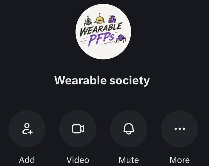 Mobile app interface for a group call titled 'Wearable society' with a logo reading 'Wearable PFPs' featuring cartoon PFP characters, and buttons for Add, Video, Mute, and More.