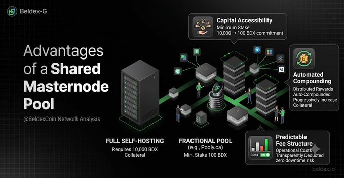 An infographic titled 'Advantages of a Shared Masternode Pool' by Beldex-G, detailing features like 'Capital Accessibility' (10,000 → 100 BDX commitment), 'Automated Compounding', and 'Predictable Fee Structure'.