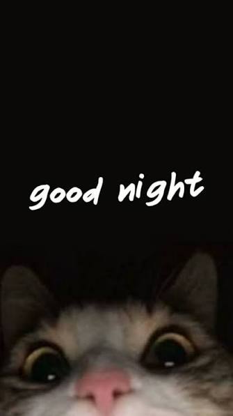 A close-up of a cat's face in darkness with wide eyes peeking from below, with the text 'good night' above.
