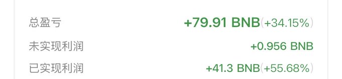 A financial summary showing total profit/loss of +79.91 BNB (+34.15%), unrealized profit of +0.956 BNB, and realized profit of +41.3 BNB (+55.68%).