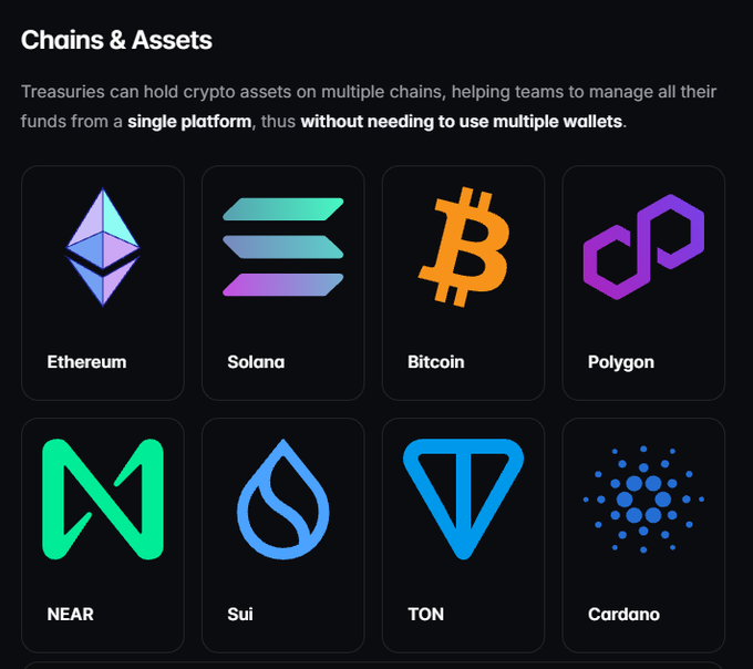 A dark-themed user interface titled "Chains & Assets" explaining that "Treasuries can hold crypto assets on multiple chains," displaying icons and names for Ethereum, Solana, Bitcoin, Polygon, NEAR, Sui, TON, and Cardano.