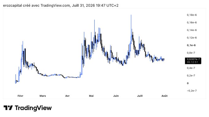 A TradingView financial chart titled 'erozcapital créé avec TradingView.com' from July 31, 2026, displaying a volatile blue and black price chart over several months.