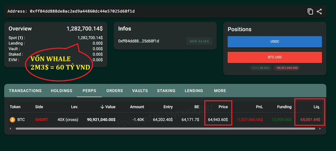 A cryptocurrency trading dashboard showing a wallet overview with 1,282,700.14$ balance and a SHORT BTC position at 40x leverage, entry 64,202.40$, with annotations 'VÕN WHALE 2M3$ = 60 TỶ VNĐ' and red boxes highlighting the Price and Liq. columns.