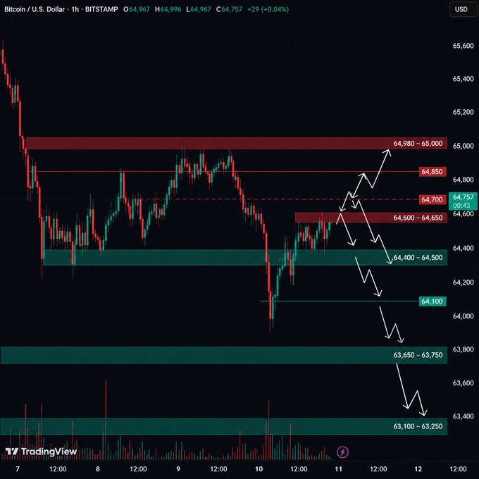 A Bitcoin/U.S. Dollar candlestick chart from TradingView showing price action with key resistance and support levels marked, including 64,980-65,000 and 64,100.