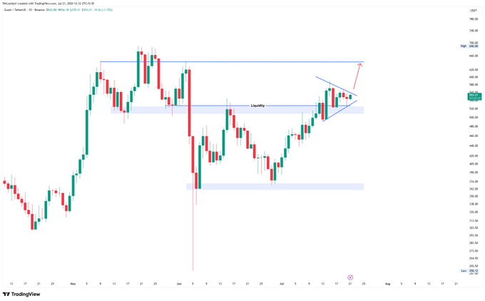 A TradingView financial chart showing candlestick price action for a cryptocurrency or stock with technical analysis annotations including 'Liquidity' zones and a bullish flag/breakout pattern marked with blue and red trendlines.
