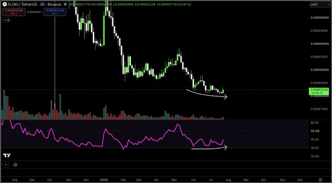 A TradingView 3-day candlestick chart for FLOKI/USDT (TetherUS) on Binance shows a downtrend with price declining from ~0.00000229 to ~0.000000119 (-5.617%), with hand-drawn arrows highlighting bullish divergence between price lows and the rising RSI momentum indicator below.