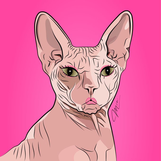 A digital illustration of a hairless Sphynx cat with striking green eyes, rendered in pink tones against a solid magenta background, signed by the artist.