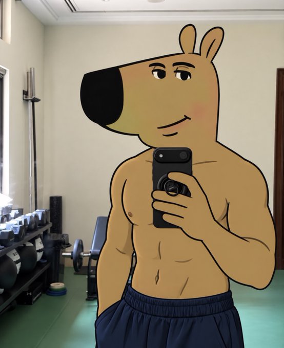 A mirror selfie featuring a cartoon kangaroo character with a muscular human body holding a smartphone, wearing navy blue shorts, in what appears to be a home gym setting with dumbbells and a workout bench.