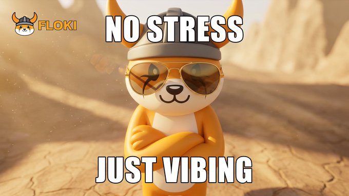 A relaxed cartoon dog character named FLOKI wears sunglasses and a beanie with crossed arms in a desert setting, paired with the text "NO STRESS JUST VIBING" — perfectly matching the chill, positive vibes of a wonderful week greeting to the Viking community.