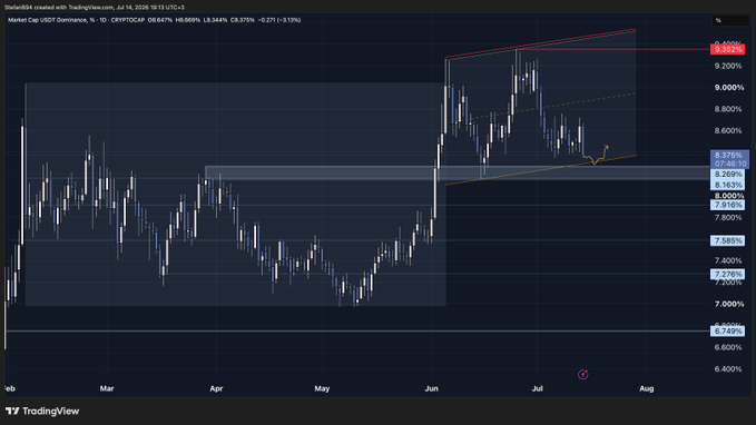 A TradingView chart shows the USDT Dominance (CRYPTOCAP:USDT.D) at 8.669% (-0.275%) on a daily timeframe, with price testing a key horizontal support level around 8.27% and the lower boundary of a rising channel, consistent with the post's observation of potential support and channel lows being tested.