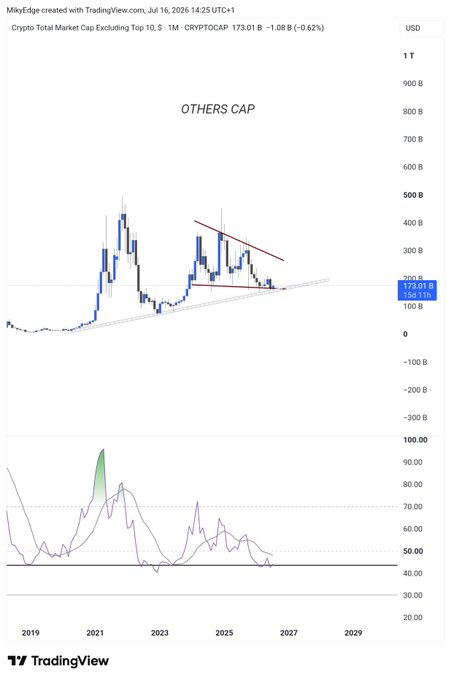 A TradingView monthly chart of the Crypto Total Market Cap Excluding Top 10 (CRYPTOCAP) shows "OTHERS CAP" at $173.01B (-$1.08B, -0.62%), with price consolidating near a long-term ascending support line around $150-170B while forming a descending triangle pattern since the 2024 peak near $480B, and an RSI near 45 suggesting the altcoin market is sitting at historically significant support levels.