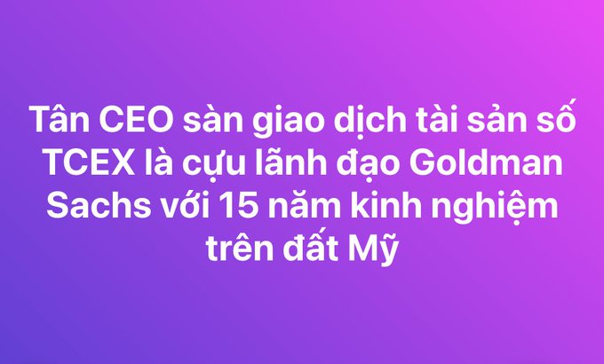 A purple gradient background with Vietnamese text reading 'Tân CEO sàn giao dịch tài sản số TCEX là cựu lãnh đạo Goldman Sachs với 15 năm kinh nghiệm trên đất Mỹ', announcing a new CEO for TCEX digital asset exchange.