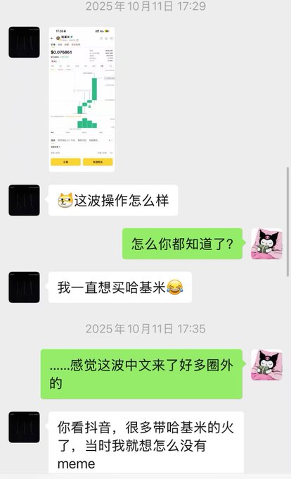 A WeChat conversation dated October 11, 2025, showing a user sharing a screenshot of a profitable stock trade in $META (up ~48% on $0.070861 investment), followed by banter about wanting to buy "哈基米" (Hajimi) and how Chinese social media is full of foreign memes like Hajimi trending on Douyin, joking that it's the only meme their crypto buddy has ever held for 11 months.