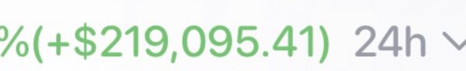 The image displays a green percentage gain of +$219,095.41 over a 24h period, which appears to represent significant trading profits. This aligns with the accompanying post from a crypto trader who recounts being hacked and losing their wallets a month ago, then being spotted by their brother in the $HMM token, leading to substantial gains that helped them recover financially through trading.