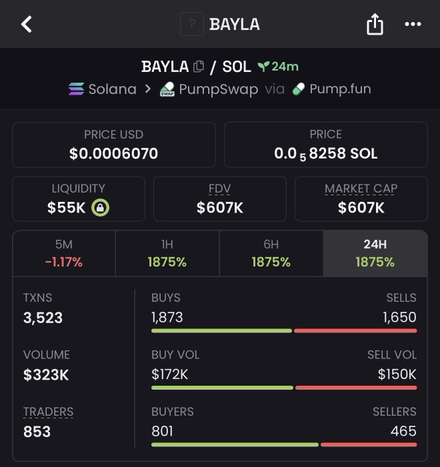 A screenshot of the BAYLA/SOL token trading page on PumpSwap via Pump.fun shows a price of $0.0006070, $55K liquidity, $607K market cap, and 853 traders with 3,523 transactions over 24 hours, supporting the post's question about whether the developer is paying for DEX visibility given the notable trading activity.