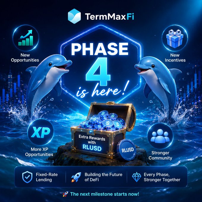 A vibrant promotional graphic for 'TermMaxFi' announcing 'PHASE 4 is here!', featuring two blue dolphins leaping from water around a treasure chest filled with RLUSD coins, highlighting New Opportunities, New Incentives, More XP Opportunities, and a Stronger Community.