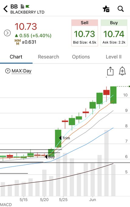 !!!The image shows a chart that shows a rise and fall, with a downward trend. The title of the image "Blackberry".