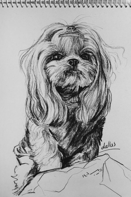 A detailed pencil sketch of a Shih Tzu dog named "Dallas," signed and dated 14-1-2021, is presented as the artist's physical realistic drawing entry, which is being offered for 5 XTZ on Tezos.
