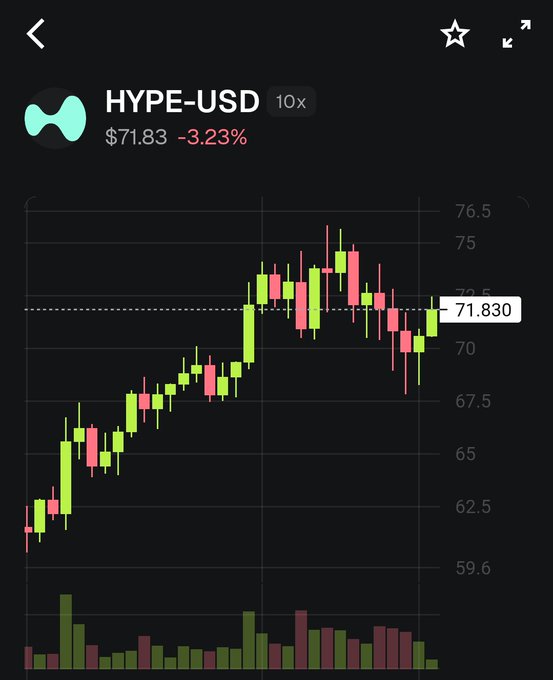 The image depicts a technical trading graph which shows the price of Bitcoin and another coin, presumably Hype-USD or HYPE-X, over time. The Bitcoin price has been steadily increasing since 2024, while the other coin's price remains relatively stable. This might indicate that Hype-USD has outperformed Bitcoin in terms of value over this period. However, it is essential to consider that this analysis focuses solely on specific coins and does not provide a comprehensive evaluation of the overall market performance or individual coin's potential for future gains or losses.
