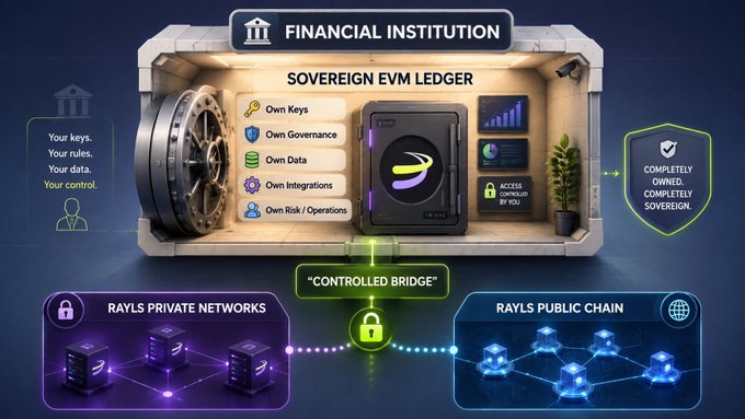 A digital infographic depicting a 'FINANCIAL INSTITUTION' vault labeled 'SOVEREIGN EVM LEDGER' connecting to 'RAYLS PRIVATE NETWORKS' and 'RAYLS PUBLIC CHAIN' through a 'CONTROLLED BRIDGE'.