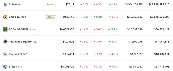 The image shows a cryptocurrency tracking table displaying coins like Solana ($SOL), Shiba Inu ($SHIB), BOOK OF MEME ($BOME), Peanut the Squirrel ($PNUT), Popcat ($POPCAT), and Brett ($BRETT), with current prices and percentage changes. This relates to the post's claim about hypothetical gains from a $100 investment, specifically highlighting $PNUT ($83,000), $POPCAT ($72,600), and $SHIB ($62,300) as coins that would have yielded massive returns at their peak.