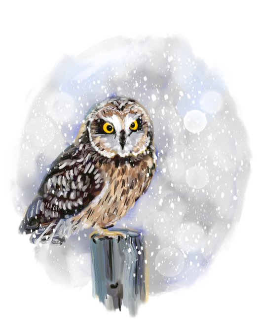 A watercolor-style illustration depicts a brown and white owl with piercing yellow eyes perched on a wooden post during a snowfall.