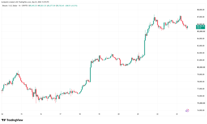 A TradingView candlestick chart of Bitcoin (BTCUSD) showing price action from September 14-23, 2024, with prices ranging from around $75,000 to $87,000, displaying a significant upward trend followed by some consolidation.