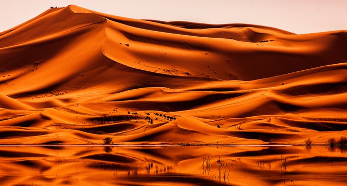 Landscape photograph of orange sand dunes reflecting in a calm body of water at sunset.