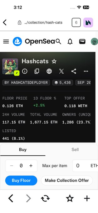 A screenshot of the OpenSea website shows the "Hashcats" NFT collection page, displaying a floor price of 0.126 ETH, 24-hour volume of 117.15 ETH, and 1,286 unique owners.