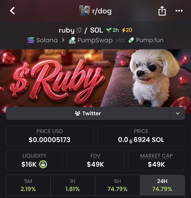 A mobile screenshot of the "ruby" ($RUBY/SOL) memecoin page on PumpSwap via Pump.fun, showing a small white dog alongside the stylized "$Ruby" text, priced at $0.00005173 USD with a $49K market cap and 74.79% gains over 6H/24H. The image supports the post's claim about bidding on the token based on Reddit mascot speculation, displaying the token's metrics and dog imagery central to the gamble.