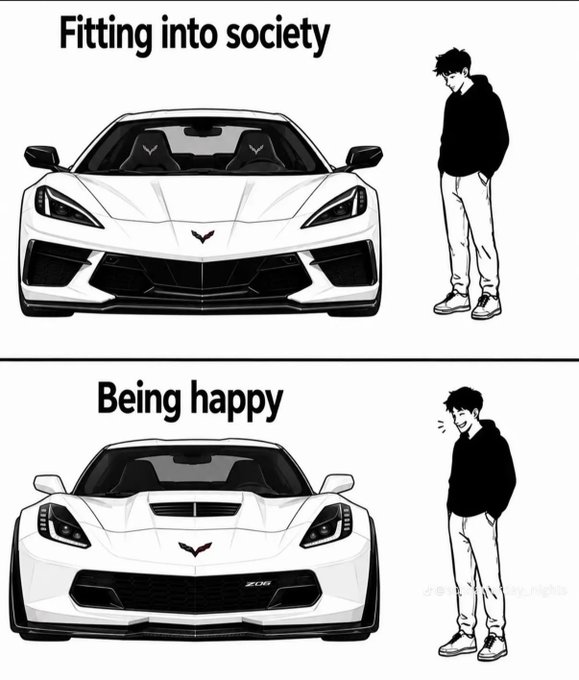 A two-panel meme contrasting "Fitting into society" (showing an aggressive-looking white car with a bored person) and "Being happy" (showing a friendlier-looking white car with a smiling person).
