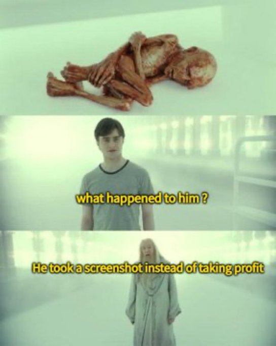 A three-panel meme featuring a creature curled up on a surface, followed by Harry Potter asking 'what happened to him?', and Dumbledore responding 'He took a screenshot instead of taking profit.'