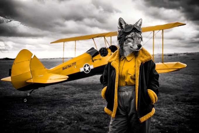 A wolf character wearing aviator goggles and a yellow shearling jacket stands in front of a yellow biplane labeled 'Red Fox 777' on a cloudy airfield.